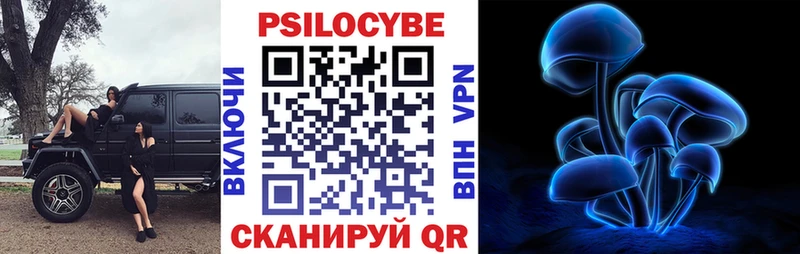 купить закладку  Орлов  Псилоцибиновые грибы Psilocybine cubensis 